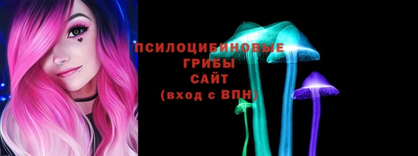 гидра Осташков