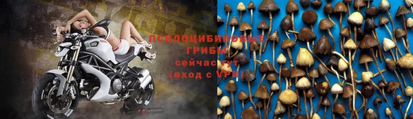 трава Беломорск