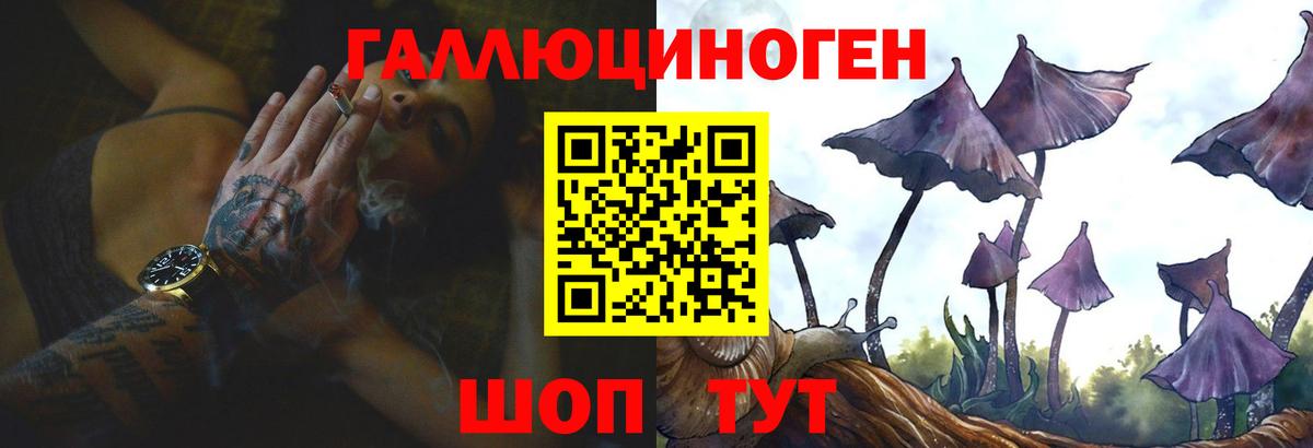 Асино  Галлюциногенные грибы Psilocybine cubensis  Вход с VPN 